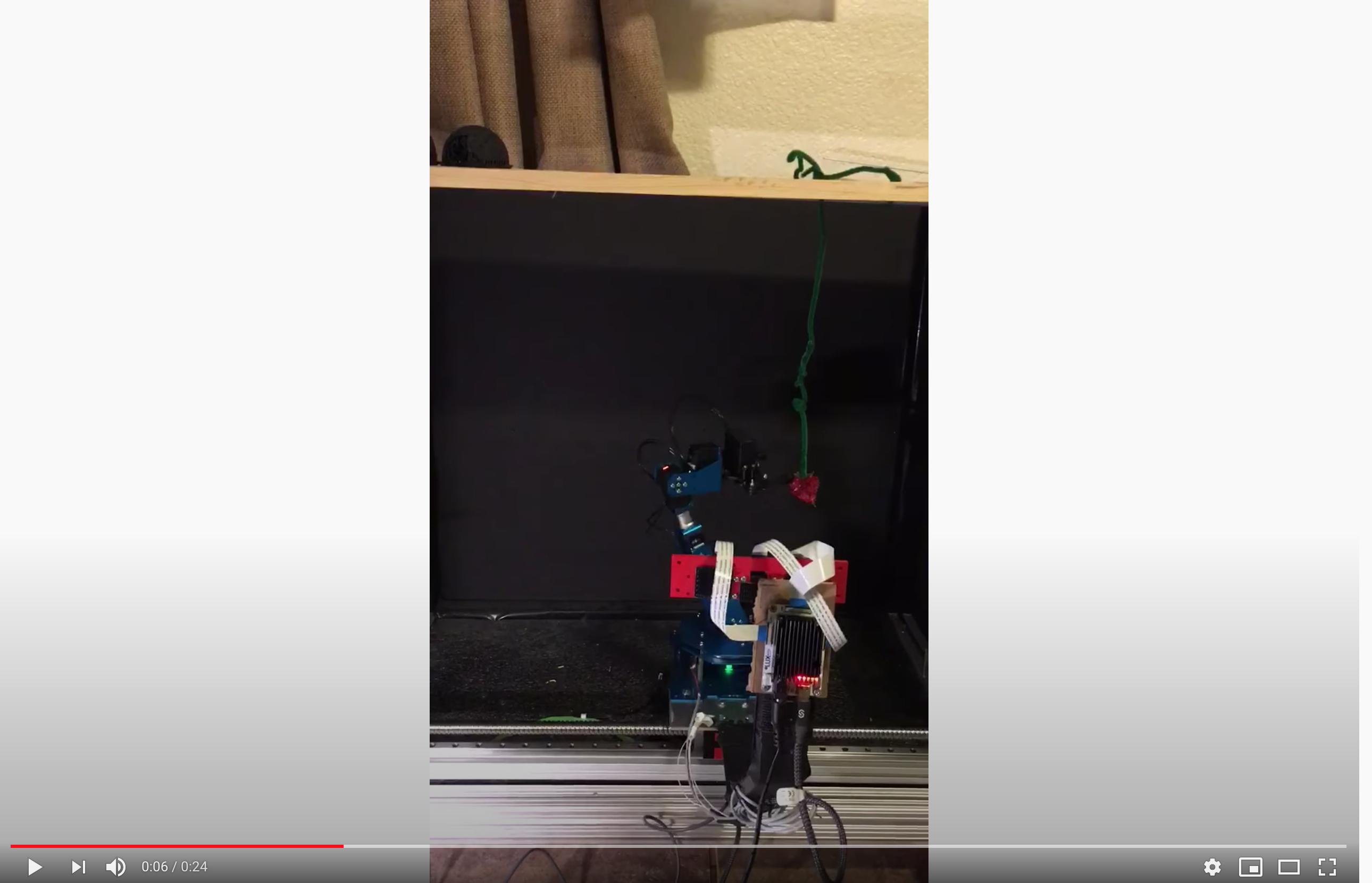 Real-time 3D Strawberry Detector
